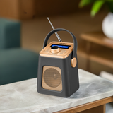 UEME Mini DAB+ FM Bluetooth Portable Radio